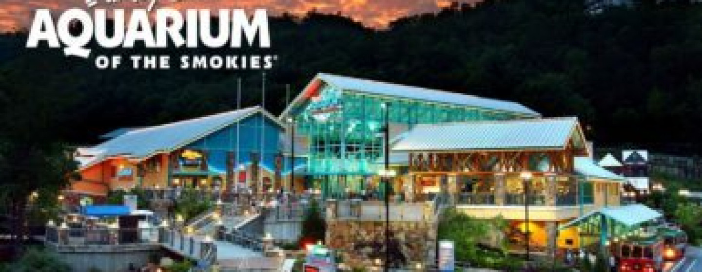 Ripleys Aquarium of the Smokies Makes the Top 10 List!Pigeon Forge Chamber  of Commerce