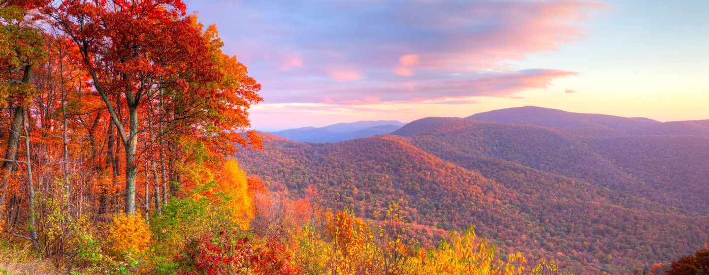 Smoky Mountains Fall Foliage