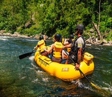 Smoky Mountain River Rat, Tubing and Whitewater