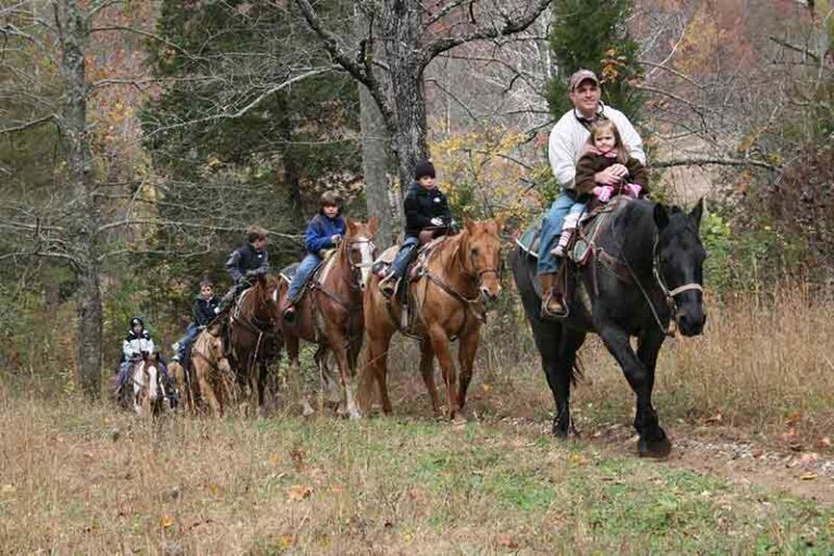 Explore the Smokies with ATVs or Horseback Riding! Pigeon