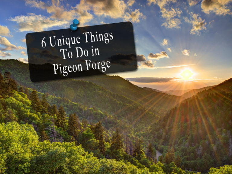 6 Unique Things To Do In Pigeon Forgethe Official Pigeon Forge Chamber