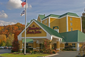 pet friendly hotels pigeon forge