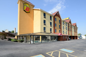 pet friendly hotels pigeon forge