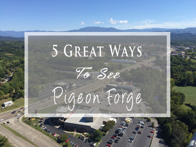 see pigeon forge