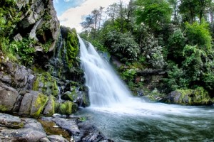 Photography Spots in the Great Smoky Mountains
