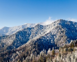 Photography Spots in the Great Smoky Mountains