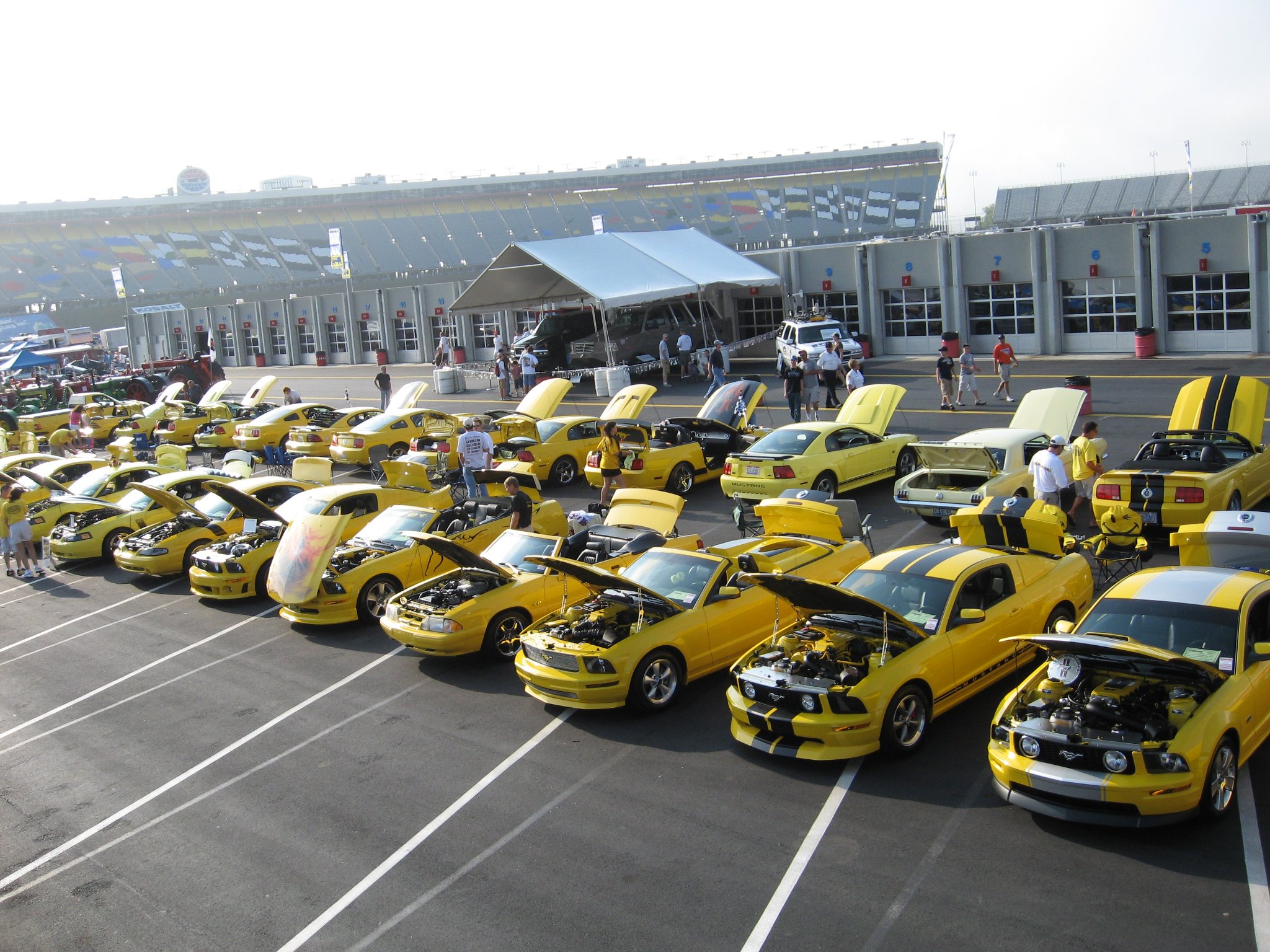 Yellow Mustang Registry Car Show