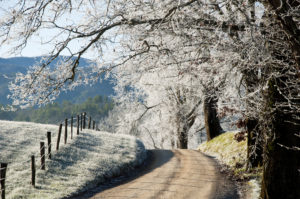 Cades Cove is the perfect winter things to do in the Smokies