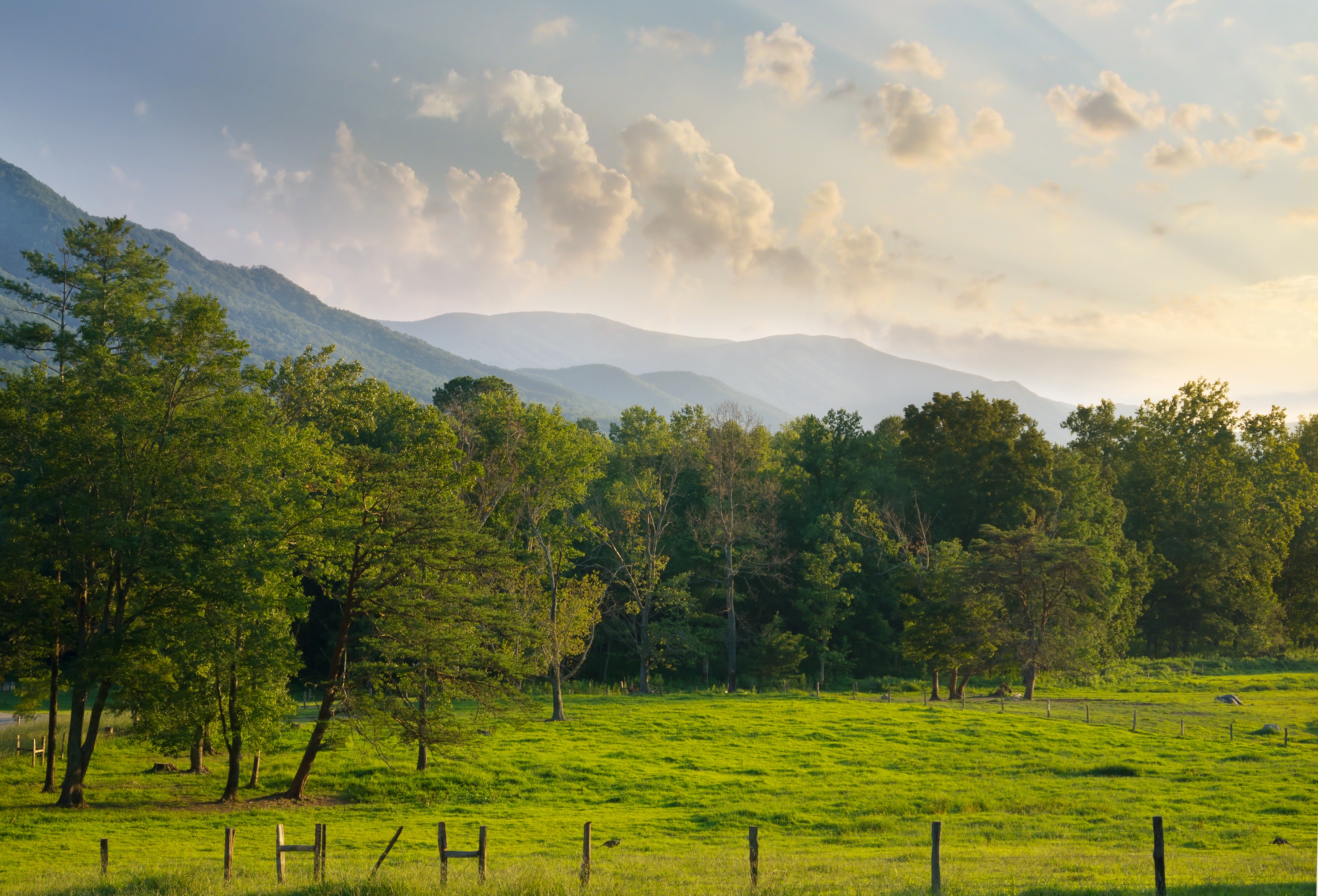Make Pigeon Forge Your Top Destination In The SmokiesThe Official