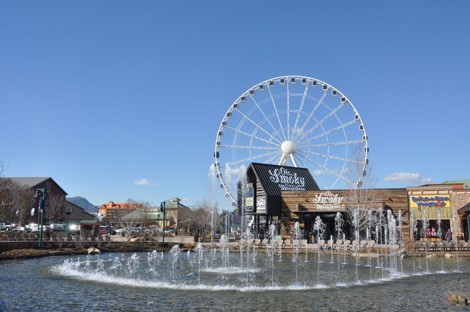 Things To Do In Pigeon Forge Tn Wolfosi