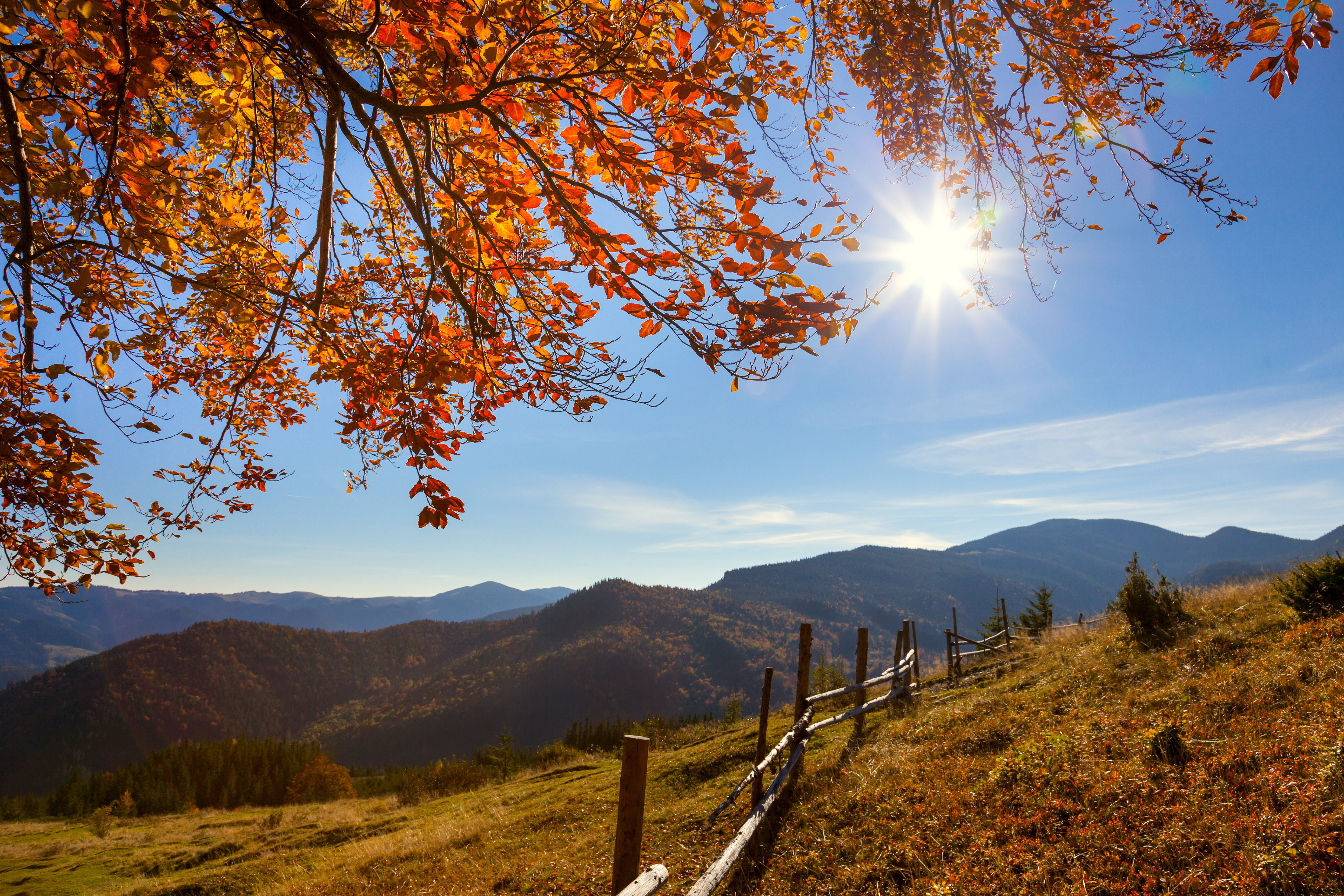 Autumn Landscape in Great Smoky Mountains