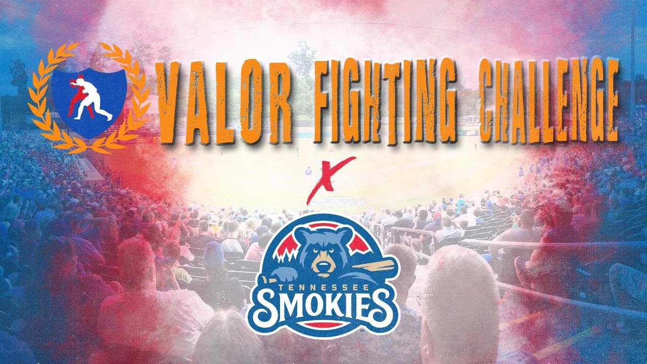 VFC 59: Fight Night at Smokies Stadium