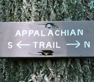 Appalachian Trail in the Great Smoky Mountains